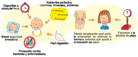 Alimentacion del niño menor de 6 meses: preguntas y respuestas