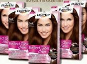 Ganadoras tintes “PALETTE Perfect Gloss Color” SCHWARZKOPF