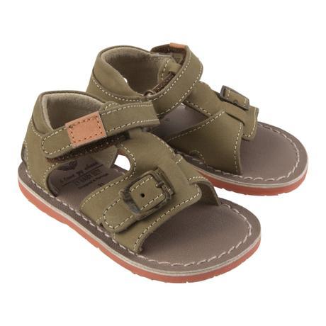 La primavera llega a Zippy ¡pisando fuerte!