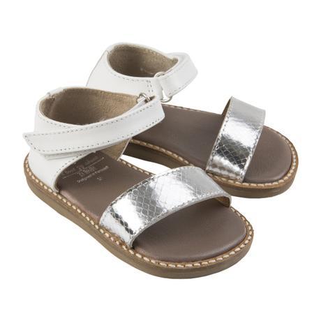 La primavera llega a Zippy ¡pisando fuerte!