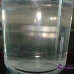 ¿Tengo candidiasis? Averigualo de manera muy sencilla y barata desde tu casa con un vaso de agua DSC08985