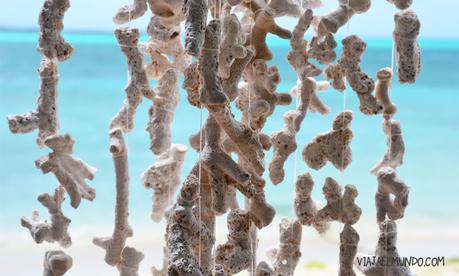 y también coralitos que guindan del Rancho de Paín
