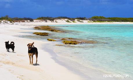 La orilla de la playa 