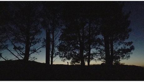 Agora meu home, toca sufrir