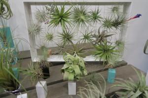 Sede ByCarla en Canarias IMG_2098