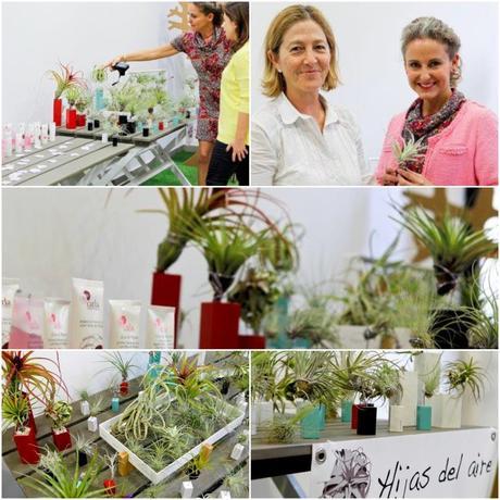 Sede ByCarla en Canarias HIjas del aire