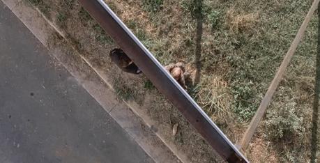 Review 'The Walking Dead 5x13': ¿Qué encierra la utópica Alejandría?