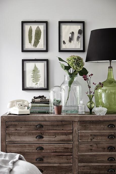 Ideas de decoración Botánica / Botanical decorating ideas