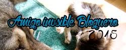 Comienzo A iigo Invisible blogger 2015