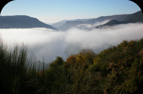 RESEÑA, MAGIA EN LAS ESTRELLAS