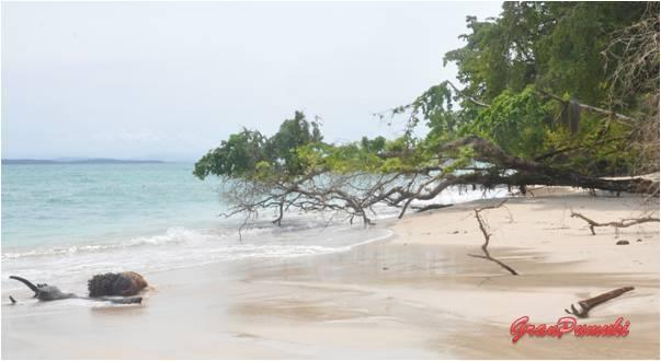 Costa Rica y Bocas del Toro en familia. Pura Vida