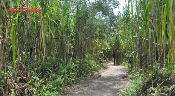 En Costa Rica, Escapada a La Fortuna y Volcán Arenal