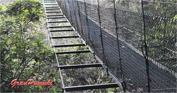 Santa Elena, Monteverde y el Bosque Nuboso