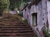 Dámaso Rodríguez Brujo’