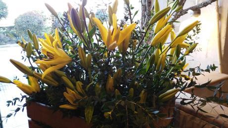 Nueva línea de Weleda para pieles maduras