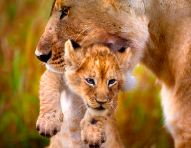 Captura de pantalla 2014-12-27 16.19.44