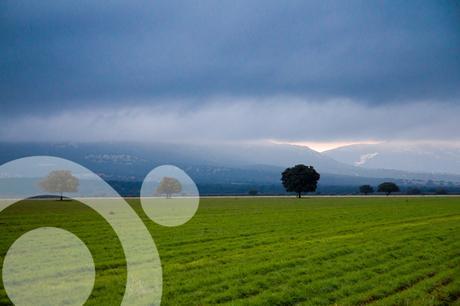 Conocer Cabañeros parque nacional de cabañeros 0