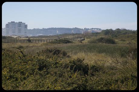 Playa del Espartal de Salinas