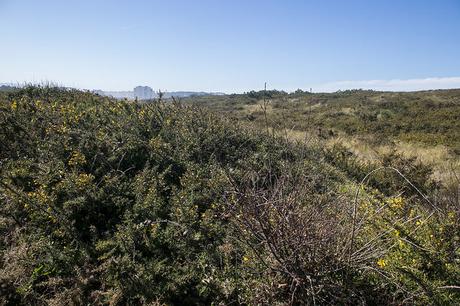 Playa del Espartal de Salinas
