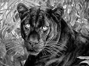fuera...un animal...?