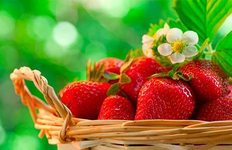 Propiedades-de-la-fresa