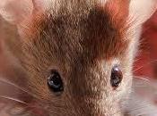 vitamina frena cáncer hígado ratones