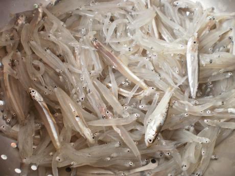 ENSALADILLA MALAGUEÑA DE TOMATES Y PIMIENTOS ASADOS CON PESCADO FRITO