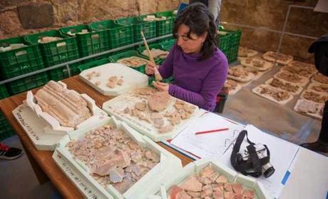 Los arqueólogos retoman los trabajos para la recuperación del Foro Romano del Molinete, en Cartagena