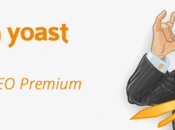 WordPress Plugin Yoast vulnerable hackers
