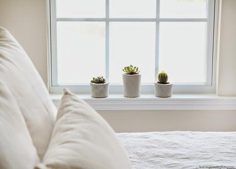 diy-macetero-de-cemento-estilo-nordico-diy-plantas