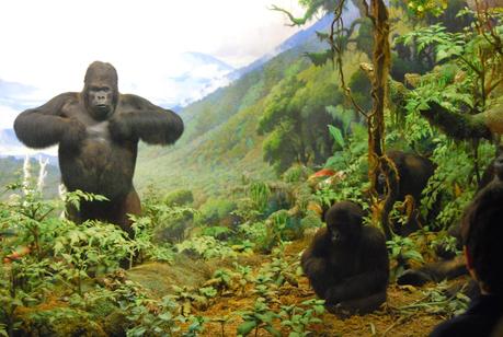 UN DÍA EN EL MUSEO DE HISTORIA NATURAL DE NUEVA YORK
