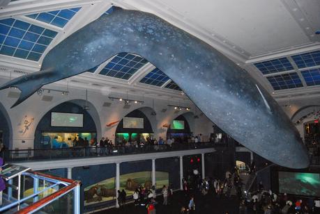 UN DÍA EN EL MUSEO DE HISTORIA NATURAL DE NUEVA YORK