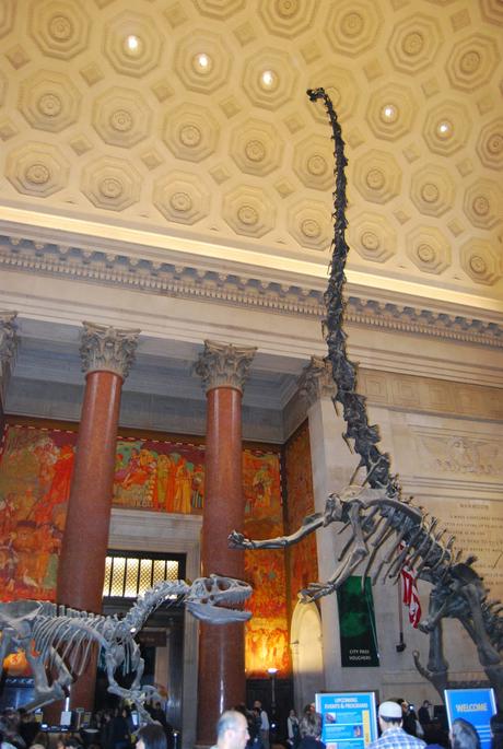 UN DÍA EN EL MUSEO DE HISTORIA NATURAL DE NUEVA YORK