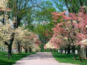 Comienza "operación verano", pongamos celulitis raya!