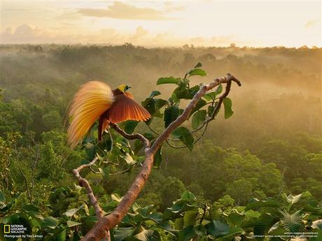 diciembre2012fondo01