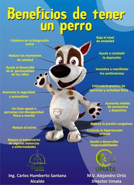 beneficios perro