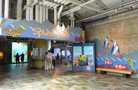 Monterey Bay, California, Road Trip, Estados Unidos, 