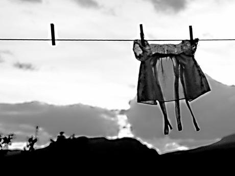 La nieta del señor Linh (Philippe Claudel)