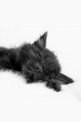 San Viernes y San 13