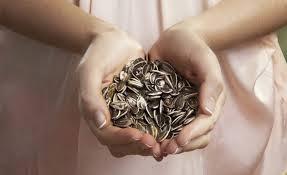 San Viernes y San 13