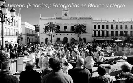 LLERENA (BADAJOZ): MATANZA DIDÁCTICA 2015