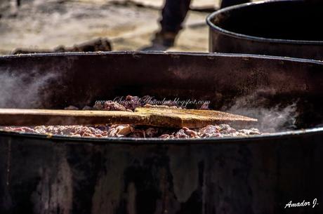 LLERENA (BADAJOZ): MATANZA DIDÁCTICA 2015