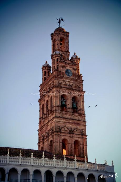 LLERENA (BADAJOZ): MATANZA DIDÁCTICA 2015