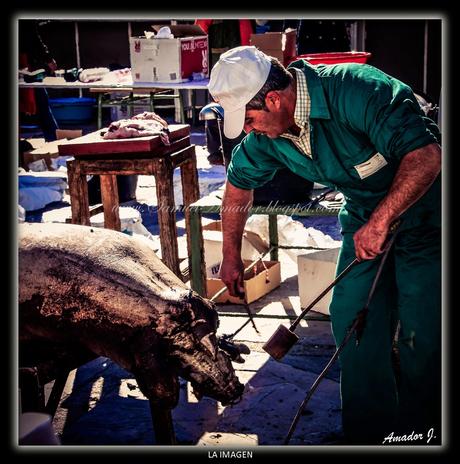 LLERENA (BADAJOZ): MATANZA DIDÁCTICA 2015