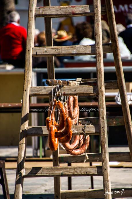 LLERENA (BADAJOZ): MATANZA DIDÁCTICA 2015