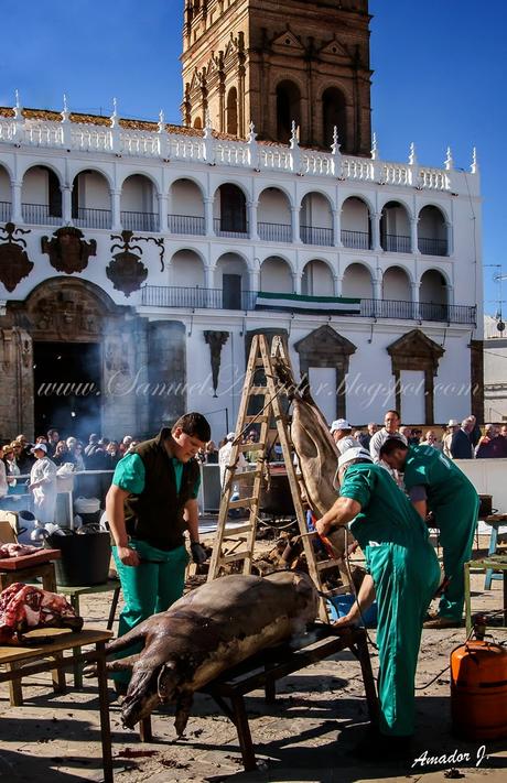 LLERENA (BADAJOZ): MATANZA DIDÁCTICA 2015