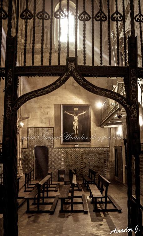 LLERENA (BADAJOZ): MATANZA DIDÁCTICA 2015