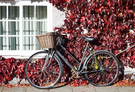 Las bicis de Oxford