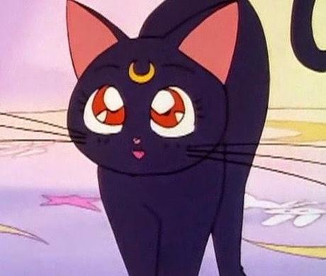 Book Tag (9) : Sailor Moon