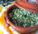 Arroz grelos